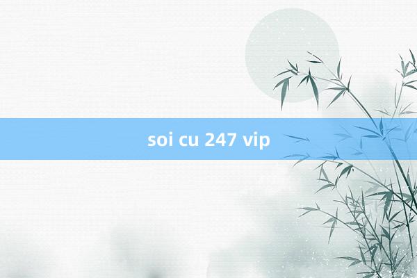 soi cu 247 vip