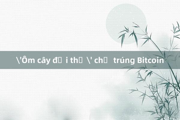 'Ôm cây đợi thỏ' chờ trúng Bitcoin