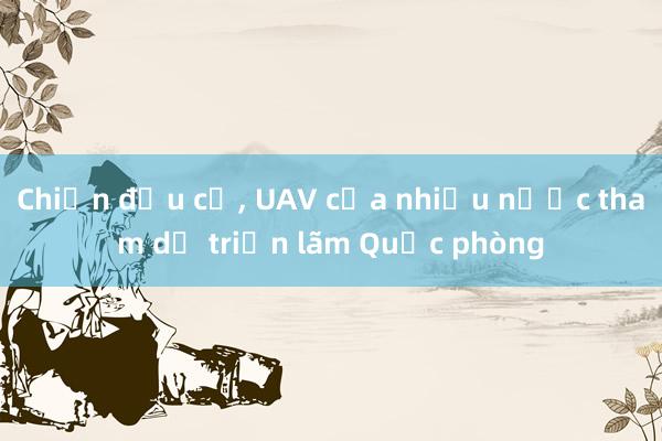 Chiến đấu cơ， UAV của nhiều nước tham dự triển lãm Quốc phòng