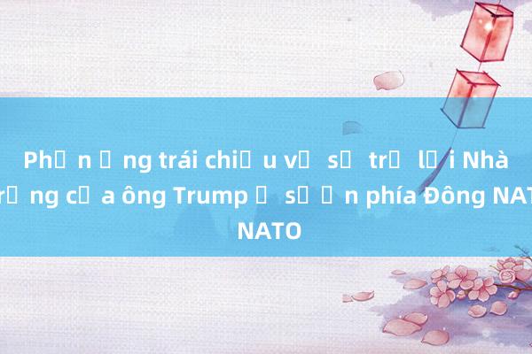 Phản ứng trái chiều về sự trở lại Nhà Trắng của ông Trump ở sườn phía Đông NATO