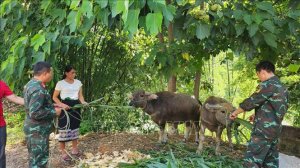 'Cú hích' giúp huyện vùng cao biên giới Mường Lát vươn lên thoát nghèo